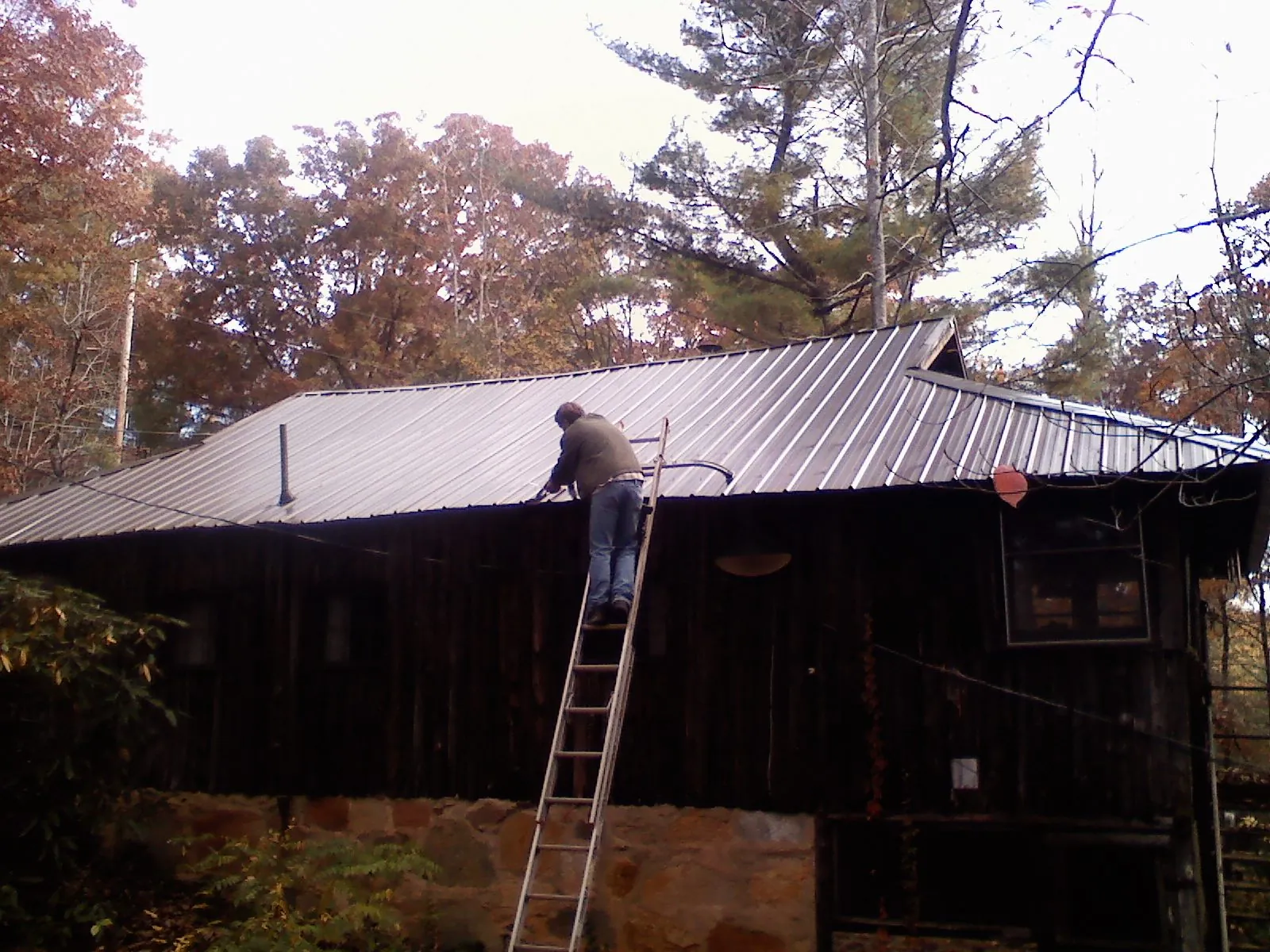 Roofer on a ladder working along the edge of a cabin metal roof in Cadogan